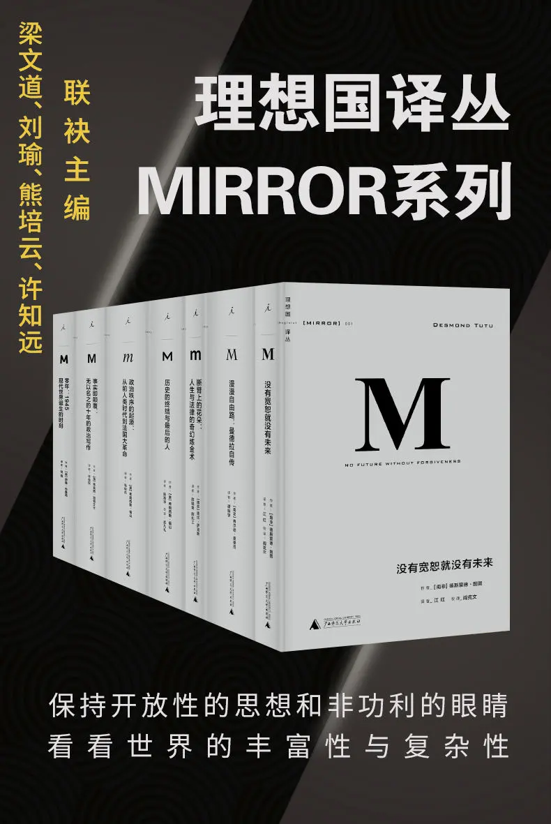 理想国译丛系列套装32册（社会精英必看的关注世界丰富性与复杂性，为中国转型提供参照的具有国际水准的高品质丛书 理想国出品） – 曼德拉