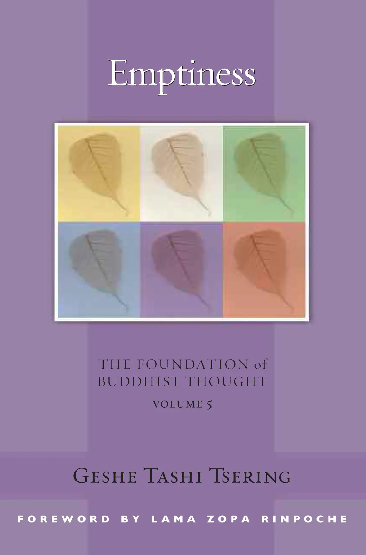 Emptiness: The Foundation of Buddhist Thought, Volume 5 – Geshe Tashi Tsering